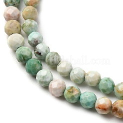 Natural Peruvian Turquoise(Jasper) Beads Strands&nbsp;G-A276-C13-3mm