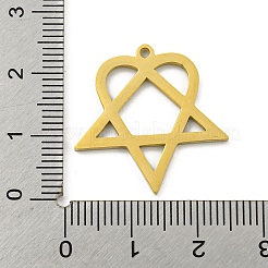 304 Stainless Steel Pendants&nbsp;LS-STAS-R228-03G