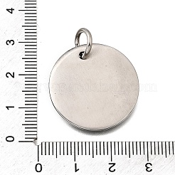 304 Stainless Steel Pendants&nbsp;STAS-H263-12AS