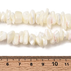 Natural White Mother of Pearl Shell Chip Bead Strands&nbsp;X-G-M205-63