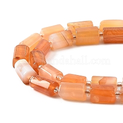 1 Strand Natural Orange Botswana Agate Beads Strands&nbsp;G-YW0002-44