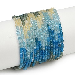 Natural Blue Green Yellow Apatite Beads Strands&nbsp;G-NH0050-B01-01