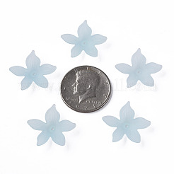 Transparent Acrylic Beads&nbsp;MACR-S373-127-D02