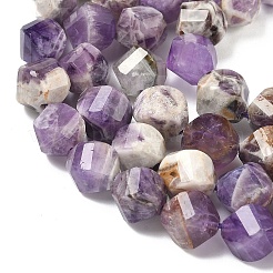 Natural Chevron Amethyst Beads Strands&nbsp;G-C267-B01