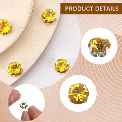 288Pcs Sew on Rhinestone&nbsp;RGLA-CY0001-01B
