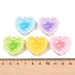 Opaque Resin Imitation Food Pendants&nbsp;RESI-P049-05P-M