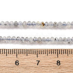 Natural Labradorite Beads Strands&nbsp;G-RM2025-D17-B