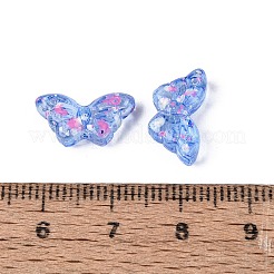 Picasso Transparent Glass Beads&nbsp;SEED-N012-05D