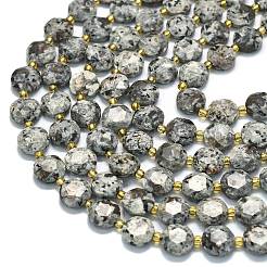 Natural Fluorescent Syenite Rock(Glow under UV Light) Beads Strands&nbsp;G-C116-A127-01