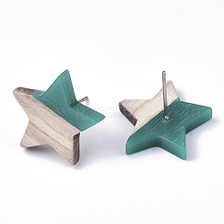 Resin & Wood Stud Earrings&nbsp;EJEW-N017-001A-C02