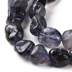 Natural Iolite Beads Strands&nbsp;G-A208-09