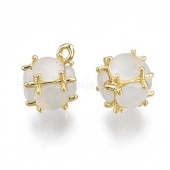 Creamy White Imitation Cat Eye Resin Charms&nbsp;KK-S364-159