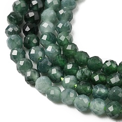 Natural Jadeite Beads Strands&nbsp;G-P603-C-3mm-02
