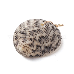 Natural Shell Pendants&nbsp;PALLOY-JF02953