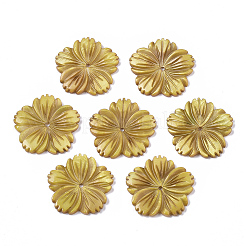 Natural Freshwater Shell Beads&nbsp;X-SHEL-N026-10