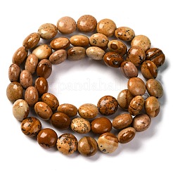 Natural Picture Jasper Beads Strands&nbsp;G-T047-A22-01