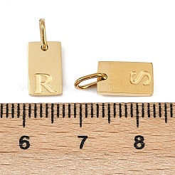 304 Stainless Steel Charms&nbsp;STAS-Z143-01G