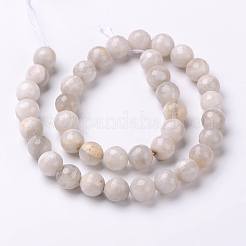 Faceted Natural Agate Round Bead Strands&nbsp;G-L383-11-4mm