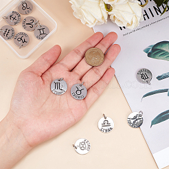 Alloy Pendants&nbsp;PALLOY-CA0001-01P