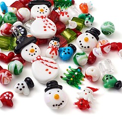 Handmade Lampwork Beads&nbsp;LAMP-TA0002-02