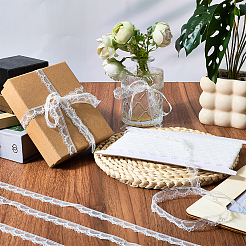 Polyester Lace Triming Ribbons&nbsp;OCOR-WH20050-028E