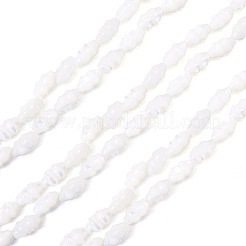 2 Strands Natural Trochus Shell Beads Strands&nbsp;SHEL-TA0001-20