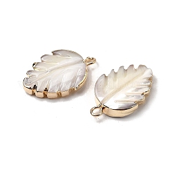 Natural Trochid Shell/Trochus Shell Pendants&nbsp;SHEL-B003-10G