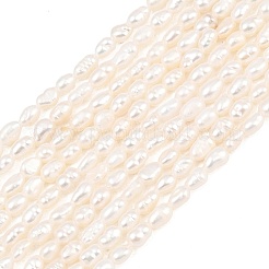 Natural Cultured Freshwater Pearl Beads Strands&nbsp;PEAR-D003-01D-03