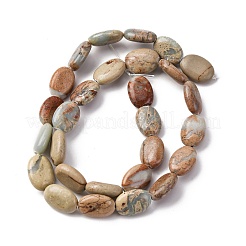Natural Aqua Terra Jasper Beads Strands&nbsp;G-L624-E03-14x10mm