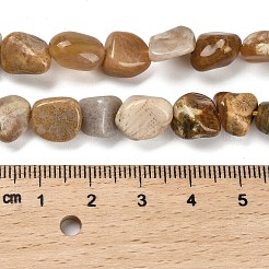 Natural Fossil Coral Beads Strands&nbsp;G-P497-01E-36