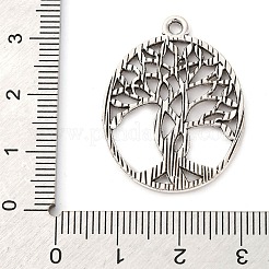 Tibetan Style Alloy Pendants&nbsp;FIND-A053-05A-AS