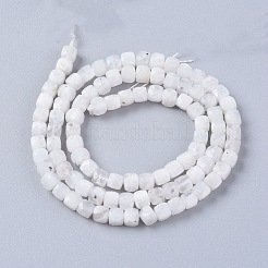 Natural Rainbow Moonstone Beads Strands&nbsp;G-L537-005A