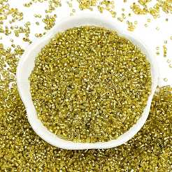 Baking Paint Silver Lined Glass Seed Beads&nbsp;SEED-H003-09E