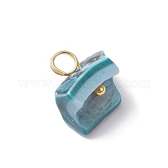 Dyed Natural Shell Chip Charms&nbsp;PALLOY-JF04556