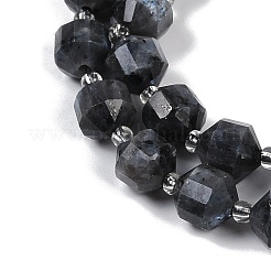 Natural Larvikite Beads Strands&nbsp;G-O201B-128F