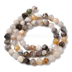 Natural Bamboo Leaf Agate Beads Strands&nbsp;G-Z119-A27-01