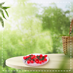 2Pcs Plastic Imitation Cherry Tomato&nbsp;AJEW-SP0004-32