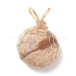 Natural Gemstone Pendants&nbsp;PALLOY-JF01420