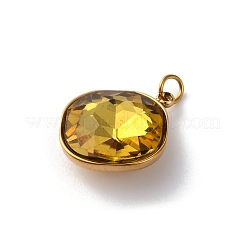 316 Stainless Steel Faceted Glass Pendants&nbsp;STAS-K258-47G-04