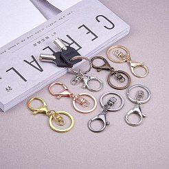 Iron Alloy Lobster Claw Clasp Keychains&nbsp;KEYC-PH0001-05