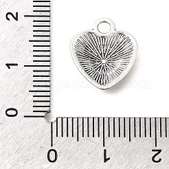Tibetan Style Alloy Pendants&nbsp;FIND-D042-14AS