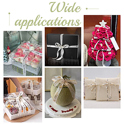 6 Rolls 6 Styles Polyester Ribbons&nbsp;SRIB-PH0001-61