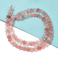Cherry Quartz Glass Beads Strands&nbsp;G-G085-B08-02