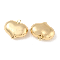 Brass Pendants&nbsp;KK-CBAD851-03G-07