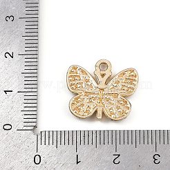 Alloy Enamel Pendants&nbsp;FIND-F013-03G