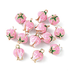 Brass Enamel Charms&nbsp;X-KK-G462-30LG