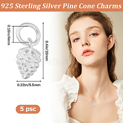 5Pcs 925 Sterling Silver Charms&nbsp;STER-BBC0002-23