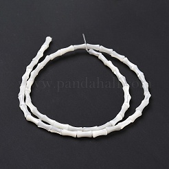 Natural Trochus Shell Beads Strands&nbsp;SSHEL-H070-04