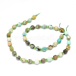 Natural Turquoise Beads Strands&nbsp;G-O201B-38