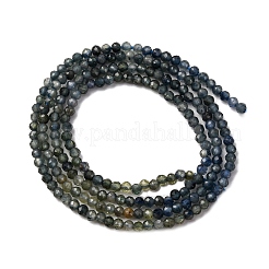 Gradient Color Natural Sapphire Beads Strands&nbsp;G-F803-A01-01A